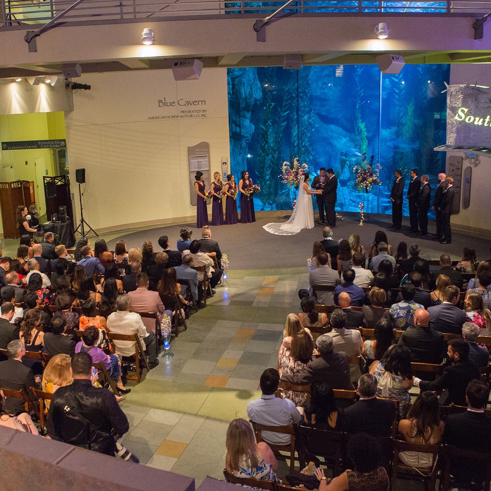 Klink Events - Photography: https://www.oryanempire.com/ Venue: http://www.aquariumofpacific.org/ - Wedding Planning Near Me Klink Events - Photography: https://www.oryanempire.com/ Venue: http://www.aquariumofpacific.org/ - Wedding Planning Near Me