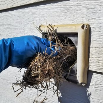 Superior Dryer Vent Cleaning - Dryer Vent Cleaning and Bird Nest Removal, Fort Worth, TX - Air Duct Cleaning Near Me - Plano, Texas Superior Dryer Vent Cleaning - Dryer Vent Cleaning and Bird Nest Removal, Fort Worth, TX - Air Duct Cleaning Near Me - Plano, Texas
