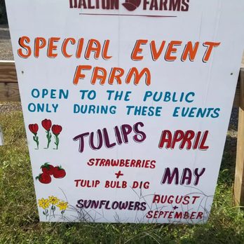 Dalton Farms - Attraction Farms Near Me - Logan Township, New Jersey Dalton Farms - Attraction Farms Near Me - Logan Township, New Jersey
