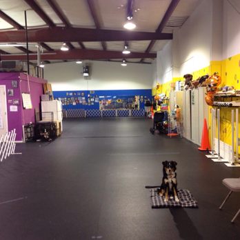 Dogs Days Dog Training - Good stay! - Pet Training Near Me - Vancouver, Washington Dogs Days Dog Training - Good stay! - Pet Training Near Me - Vancouver, Washington