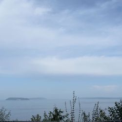 Howarth Park - View point from the picnic area
