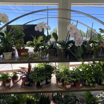 Known Source Farms - Inside store - orchids and house plants - Nurseries & Gardening Near Me - Taylor, Texas