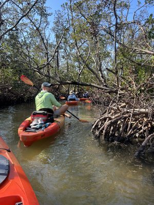 Happy Paddler Kayak Tours & EcoVentures by null