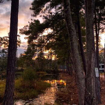 Lake Jasper RV Park - Lake Jasper - Campgrounds Near Me - Hardeeville, South Carolina Lake Jasper RV Park - Lake Jasper - Campgrounds Near Me - Hardeeville, South Carolina
