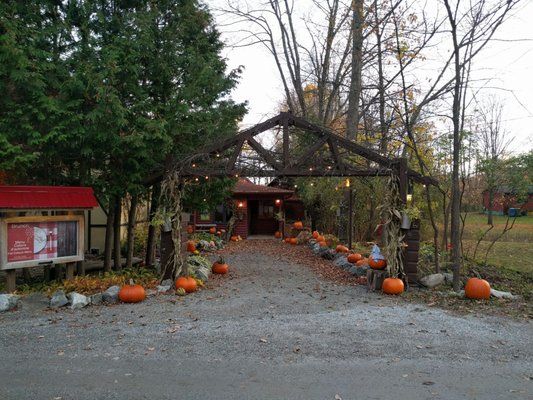 L'Orée du Bois by null