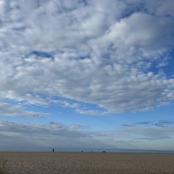 New Buffalo Beach - Beaches Near Me