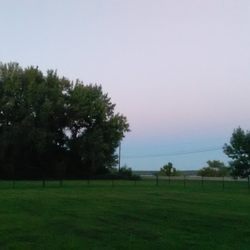 Walnut Dog Park - Well maintained, fenced-in, grassy park (small dog side).