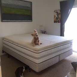 New Cal King Mattress with Organic Latex Topper, delivered to our home... the animals like it so I guess we'll keep it! :) New Cal King Mattress with Organic Latex Topper, delivered to our home... the animals like it so I guess we'll keep it! :)