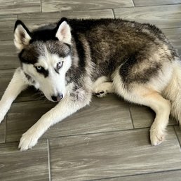 Nala - all clean :)
