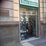 Photo of Gea Vollero