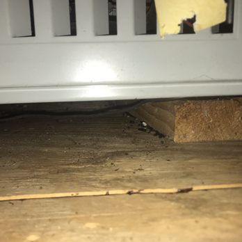 Rodents Stop - Rat feces I could reach from the ladder after the second cleaning - Pest Control Near Me - Van Nuys, California Rodents Stop - Rat feces I could reach from the ladder after the second cleaning - Pest Control Near Me - Van Nuys, California