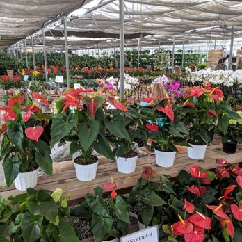 OC Succulents - Nurseries & Gardening Near Me - Irvine, California OC Succulents - Nurseries & Gardening Near Me - Irvine, California