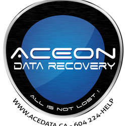cost of aceon