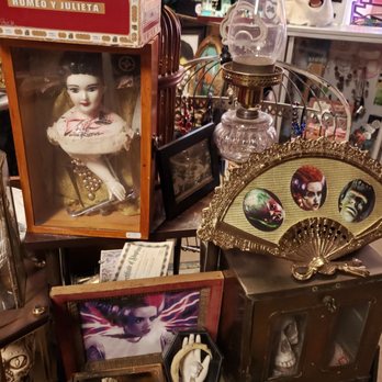 Tooth and Veil Oddities And Macabre Shop - Antiques Near Me - El Paso, Texas Tooth and Veil Oddities And Macabre Shop - Antiques Near Me - El Paso, Texas