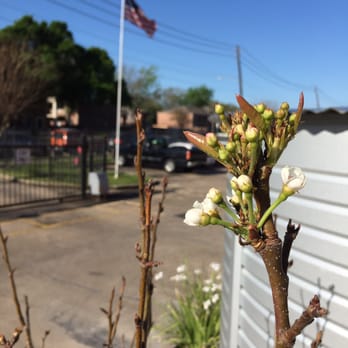 Houston Dump Trucks & Trailers - Why businesses like HDT&T and Momentum Bay work together:  we help neighbors enjoy freedom, and live joyful, healthier lives. - Masonry/Concrete Near Me - Houston, Texas