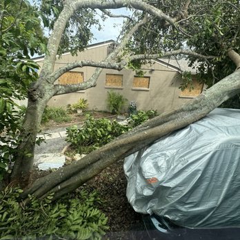 MBC Tree Service - Tree Services Near Me