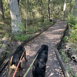 Double Lake Recreation Area - Lake loop train