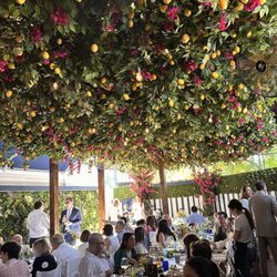 Baiablu  Italian Restaurant - The Lemon Garden, where Amalfi comes to life.