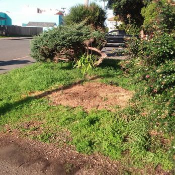 Custom Stump Grinders - Stump gone - Landscaping Near Me