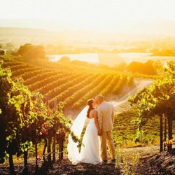 Michele Carroll Events - Coordinator: Planimation Events // Venue: Pear Valley Vineyards // Photography: Ely Roberts Photography