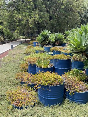 Jardín Botánico del Bosque de Chapultepec by null
