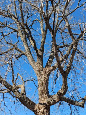 Bethany Lakes Park by null