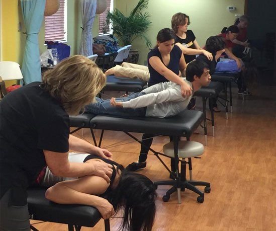 Central Florida School of Massage Therapy Logo