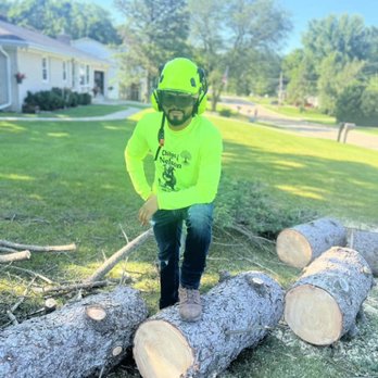 Nelson Tree Services - Tree Services Near Me Nelson Tree Services - Tree Services Near Me