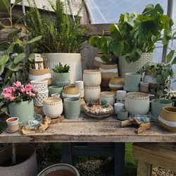 Hueter's Greenhouse