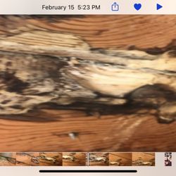 Street Plumbing & Rooter