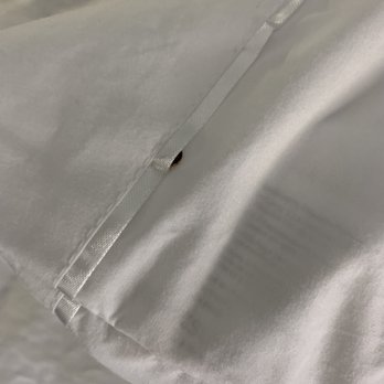 Hampton Inn Champaign Southwest - The bed bug crawled into the pillow case...! - Hotels Near Me - Champaign, Illinois Hampton Inn Champaign Southwest - The bed bug crawled into the pillow case...! - Hotels Near Me - Champaign, Illinois