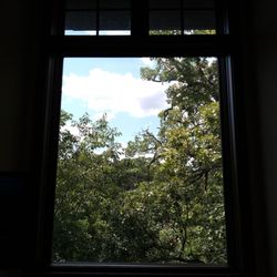 Northwood Dental - View from chair