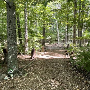 Springdale Farm - See the fairy houses lining both sides of the trail? Loved this. - Farms Near Me - Spencerport, New York