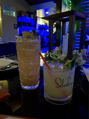 Monkey Lounge by null