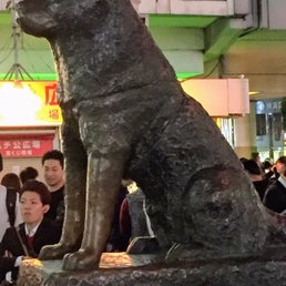 額装「忠犬」Dogs are very loyal 🐕💔 忠犬八公：一段跨越生S的等待** 1924 年，東京大學教授上野英三郎