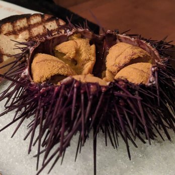 L'Oursin - Red Urchin - French Near Me - Seattle, Washington L'Oursin - Red Urchin - French Near Me - Seattle, Washington