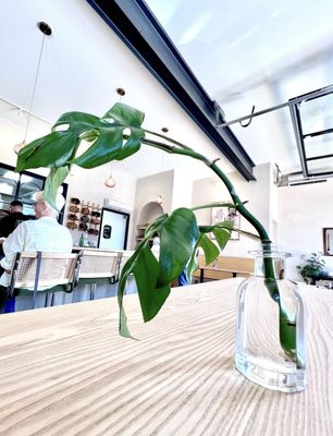 mother bakery & cafe | south slope by null
