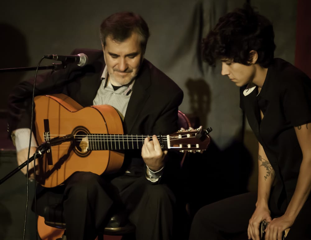 Virginia Iglesias' Flamenco Academy of Dance Logo