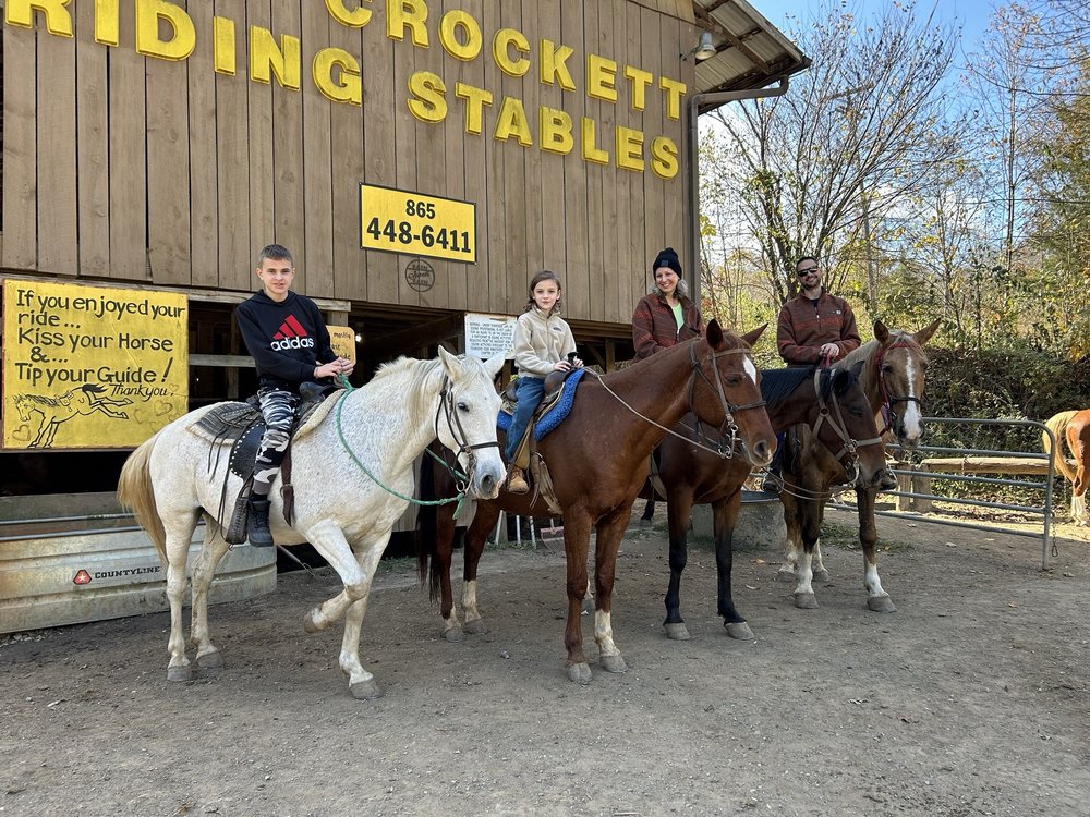 Davy Crockett Riding Stables - equestrian in Townsend, TN