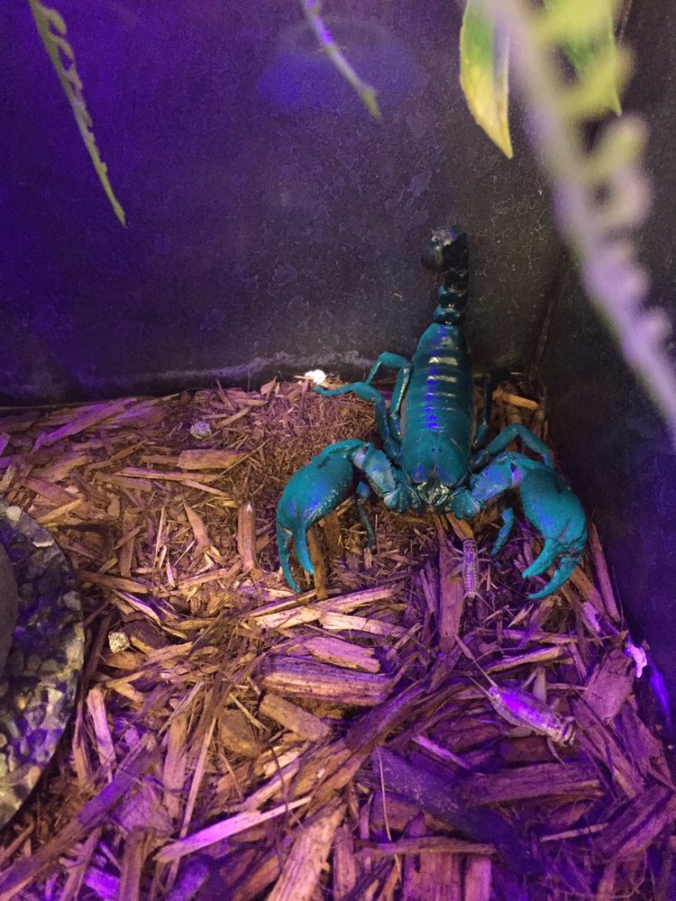 S&K PET SHOP & SUPPLIES 294 Photos 2560 N Perris Blvd, Perris