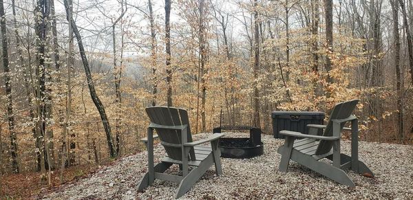 Postcard Cabins Dale Hollow by null