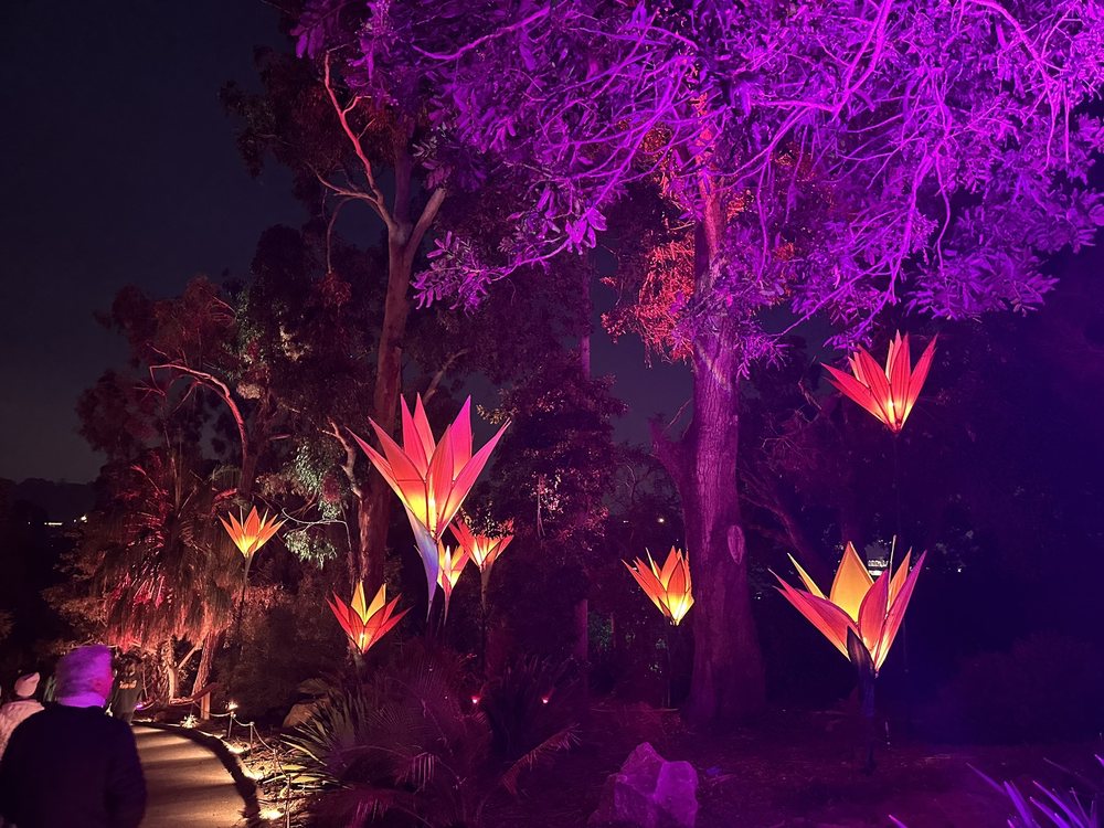 Lightscape Encinitas LIGHTSCAPE SAN DIEGO - Updated August 2024 - 184 Photos & 39 Reviews ...