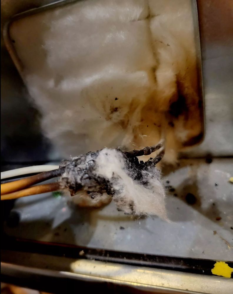 HONEST APPLIANCE REPAIRS Updated July 2024 2102 Mohawk Rd, Pueblo, Colorado Appliances