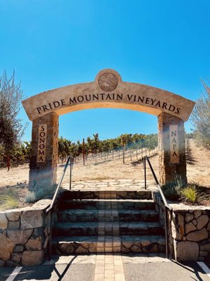 Pride Mountain Vineyards by null
