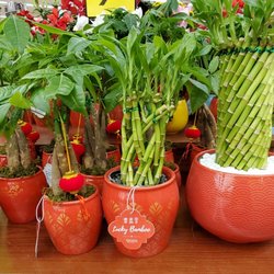Smith's - Happy Year of the Rabbit!