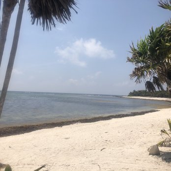 Chamicos - View - Seafood Near Me - Tulum, ROO