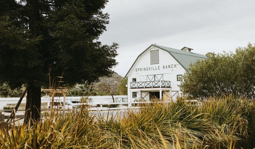 SPRINGVILLE RANCH Updated September 2024 234 Photos & 49 Reviews