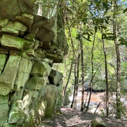 Swallow Falls State Park - Rocky trail