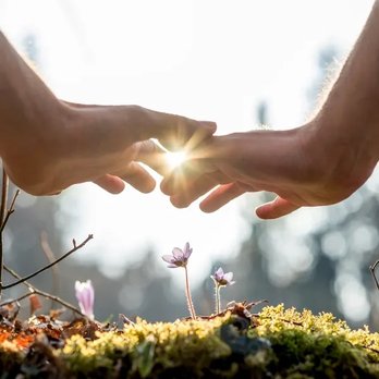 Elysium House Healing - Healing - Counseling & Mental Health Near Me Elysium House Healing - Healing - Counseling & Mental Health Near Me