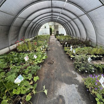 Harding Nursery - Nurseries & Gardening Near Me - Colorado Springs, Colorado Harding Nursery - Nurseries & Gardening Near Me - Colorado Springs, Colorado